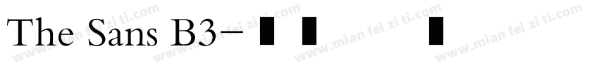 The Sans B3字体转换